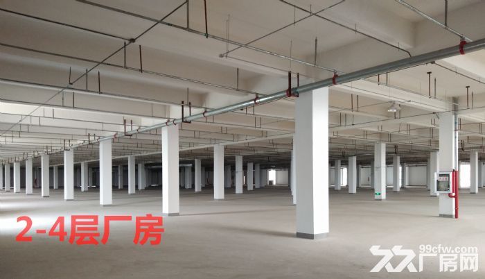 安徽芜湖德尔科技产业园全新框架结构厂房招租-图4