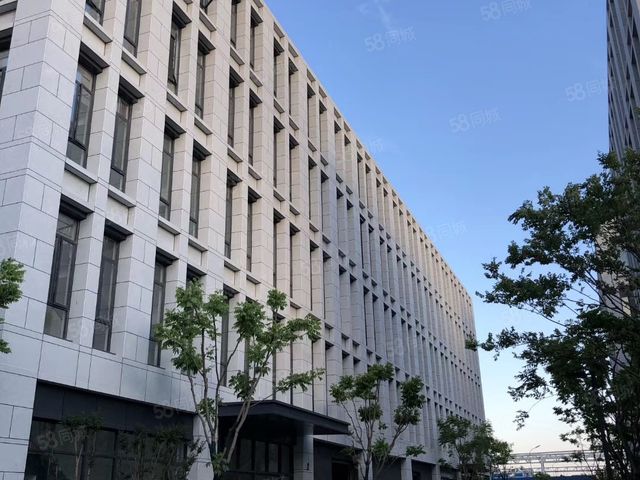 通州平潮高铁新城靠近南通野生动物园标准厂房出售-图3