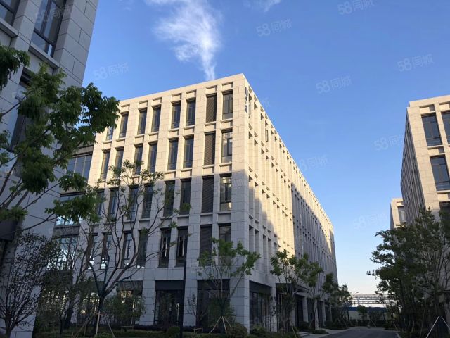 通州平潮高铁新城靠近南通野生动物园标准厂房出售-图2