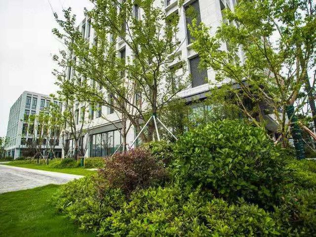 出售南通800平小面积厂房-图1