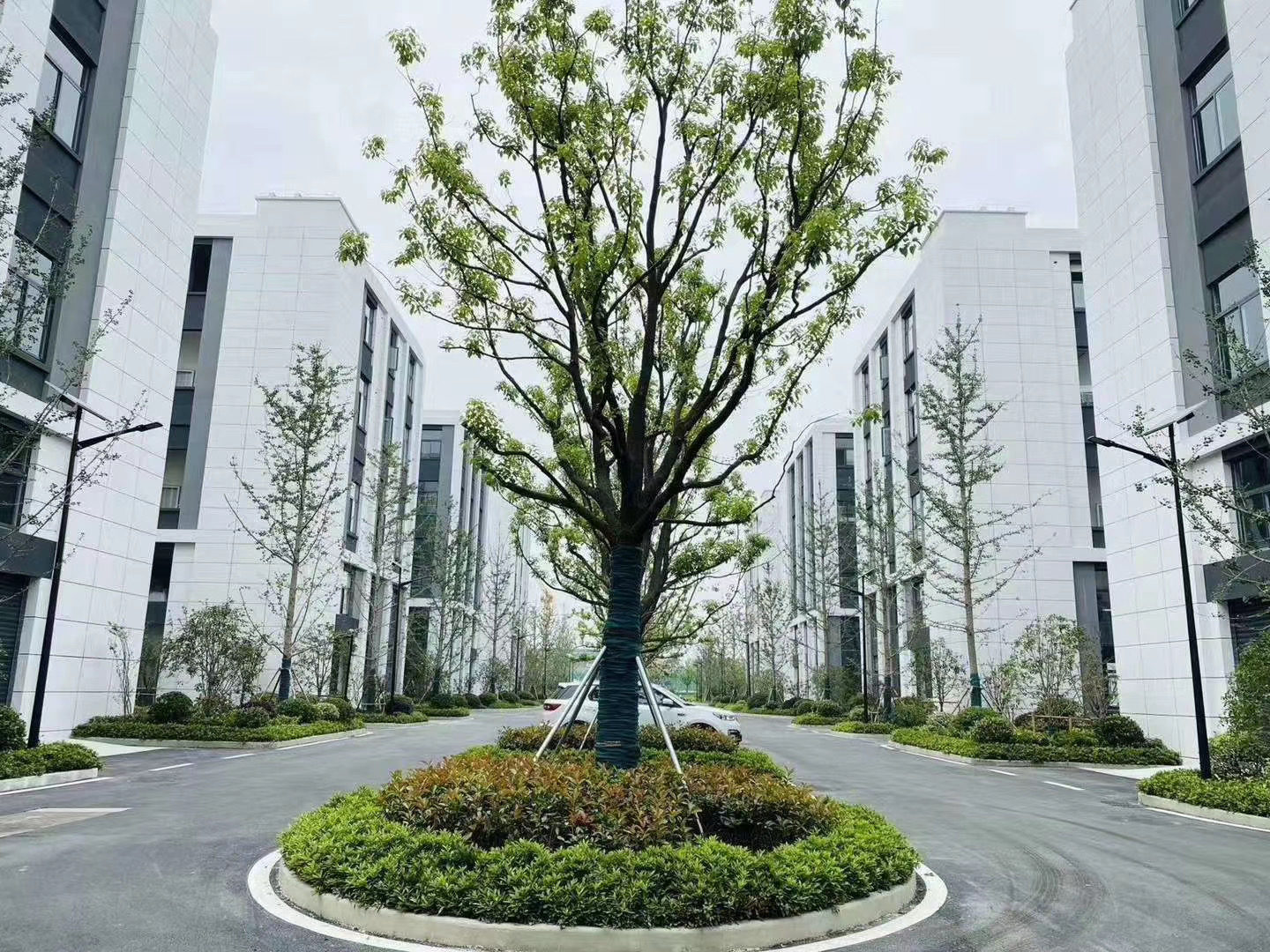 南通港闸区大量工业用地解压厂房出售-图1