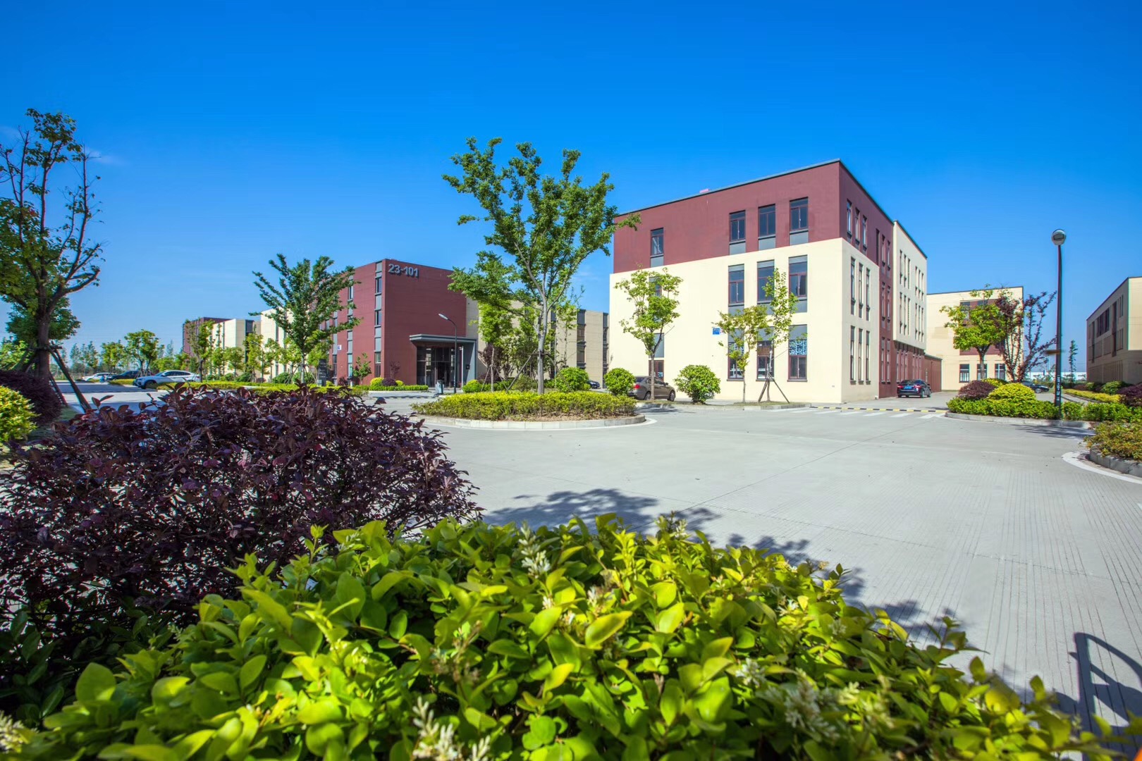 南通金沙独门不独院2000平标准厂房出售-图2