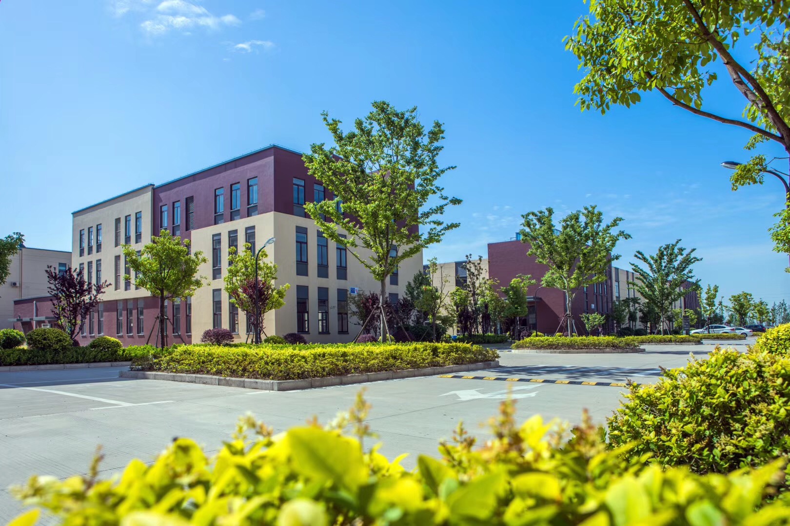 南通金沙独门不独院2000平标准厂房出售-图1