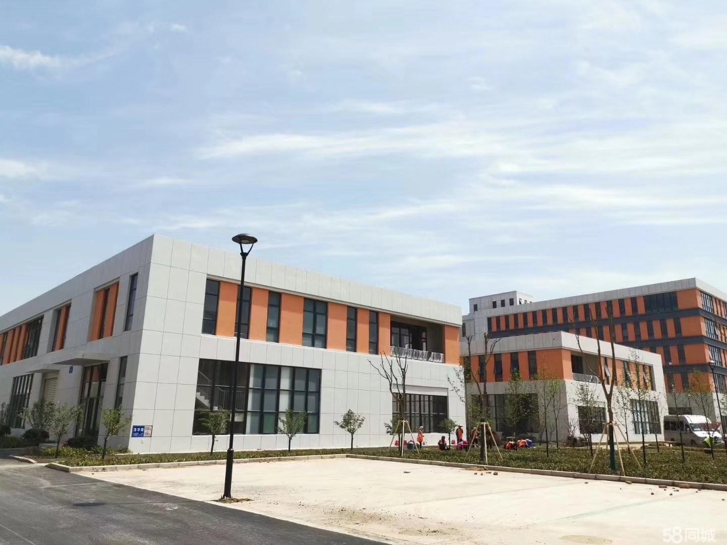 匆匆少年 南通如东县掘港镇 1000平厂房出售 有土地指标-图2