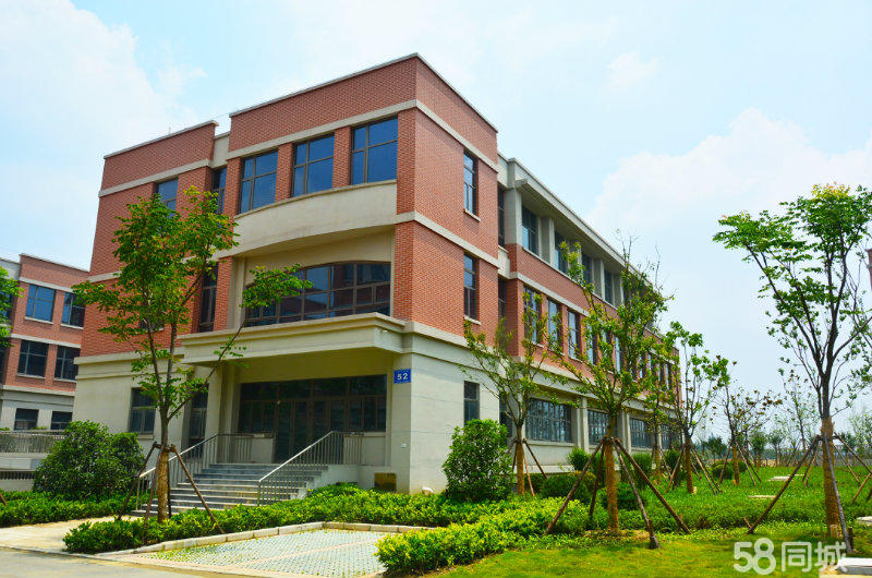 匆匆少年 南通如东县掘港镇 1000平厂房出售 有土地指标-图1