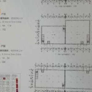 上海高新技术产业园独栋厂房租售