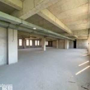 联东U谷 双拼类独 1200平至5000平全新产业园区  低首付可贷款