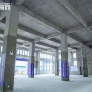50年大产权全新一手厂房，价格洼地!   手慢无