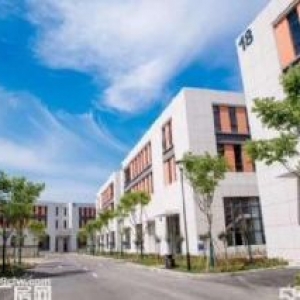 (出售) 国土50年产权，双证，政府合作项目，单层多层厂房