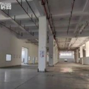 车墩高速口新出独栋厂房可架行车精装办公室，空地大，大小可分割