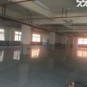 车墩独立层面800平米车间单价仅0.8元含税开增票