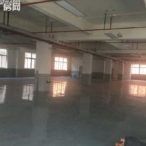 车墩工业区一房东新出独栋厂房每层面1408平米单价仅0.9元含税