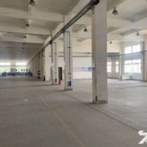 工业园区胜浦600平起厂房出租 租期灵活 业主直租 、交通便利