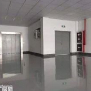 高标准科技产业园招租，300平，位置好风水好