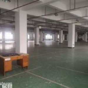 出租 浦庄独门独院4300方