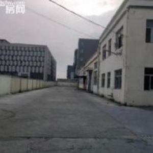 青浦临主街道104板块稀缺小亩地绿证50年二焗一火车头全单层