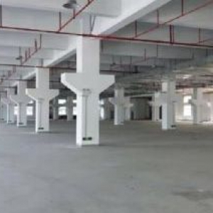 吴江平望开发区单层厂房3500平米层高12米