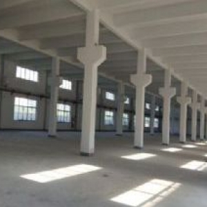 房东直招 吴江开发区黎里底层厂房1750平米，层高9米