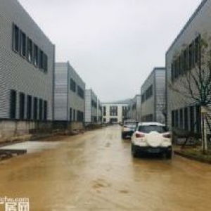 （准现房）（50年产权）杭长高速口1.8公里 首层高8.1米 低总价可按揭