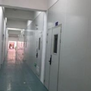 新十万级洁净厂房出售