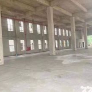 政府招商，独栋双拼独立产权标准厂房