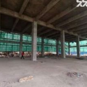 2000−4700m²独栋厂房出售，50年独立产权