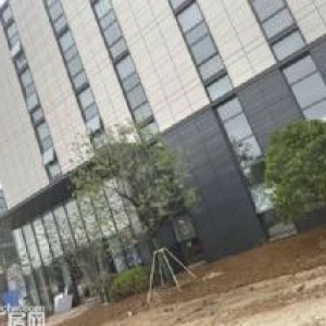 开发商直接销售，全新50年产权花园式厂房，总部办公+生产