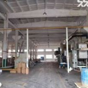 出租莘塔独栋厂房1800平米