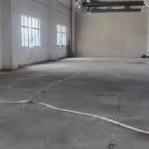 园区 胜浦一楼700平单层  可架行车