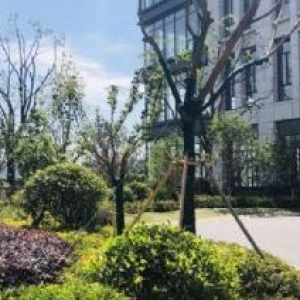 联东U谷政府推荐园区，1000平&minus;4500平高标厂房出售，独立产证，地铁口配食堂