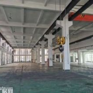 出售胥口5亩工业用地 厂房3500方双层 一楼层高8米带行车