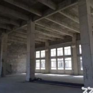全新厂房 高架路旁 多面积段选择 非中介非二房东 直接招商 自己运营管理
