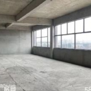 国有产权厂房，环评宽松，可以贷款，面积多样，