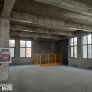 分层标准厂房，可拆分，50年产权核心地理位置