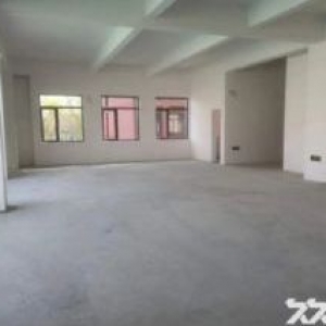 开发商直租，独栋，可改造，办公文艺环境优美