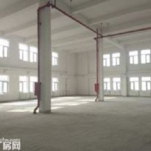 租售！出租300平起，出售1200平起！送车位，送露台，环平