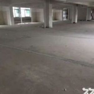 增城区新塘镇牛仔城附近二楼1100方 .无公摊，电商，包装客户的福音.刚出.速度