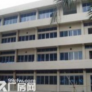 迎宾路旁边 、独门独院、国有证厂房出售