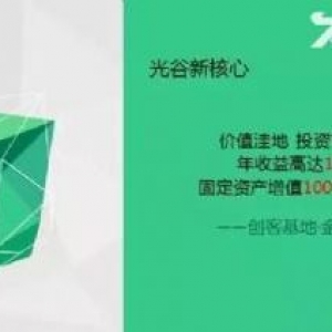 自贸区核心，年收益率13%，资产增值200−300%。