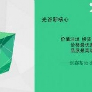 自贸区核心，年收益率13%，资产增值200−300%