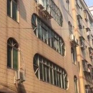 狮岭镇步行街 整栋商住楼2000方 可做公寓、出租房等