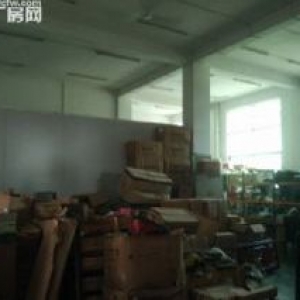 广州云埔工业区范围独门独院带10年租约出售即买即可收租