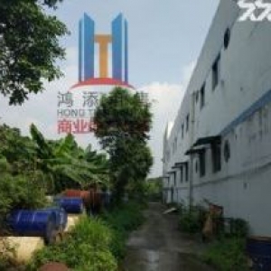 广州开发区独门独院占地15亩股权转让方式出售 即买即可交楼