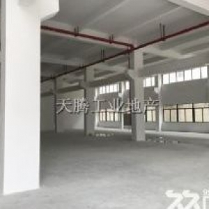 顺德富安2万方国有独院厂房带租约回报高