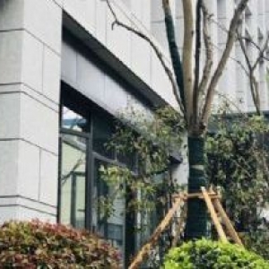 广州制造业首选，乐从城中心50年产权厂房，可按揭，