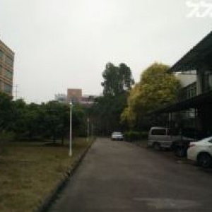 科学城厂房1万多平方8000元一平方出售