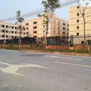 今日推荐，南沙区一线路50亩工业园出售