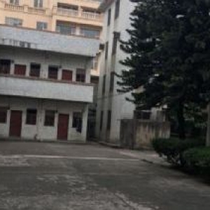 1300万独院工业厂房出售