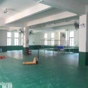 全新独门独院厂房，2成首付即可拥有，50年产权，无强制税收(非中介)