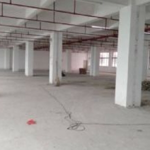 新塘西周大道新建厂房出售